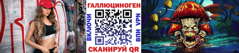 Галлюциногенные грибы Psilocybe что такое наркотик Новоузенск